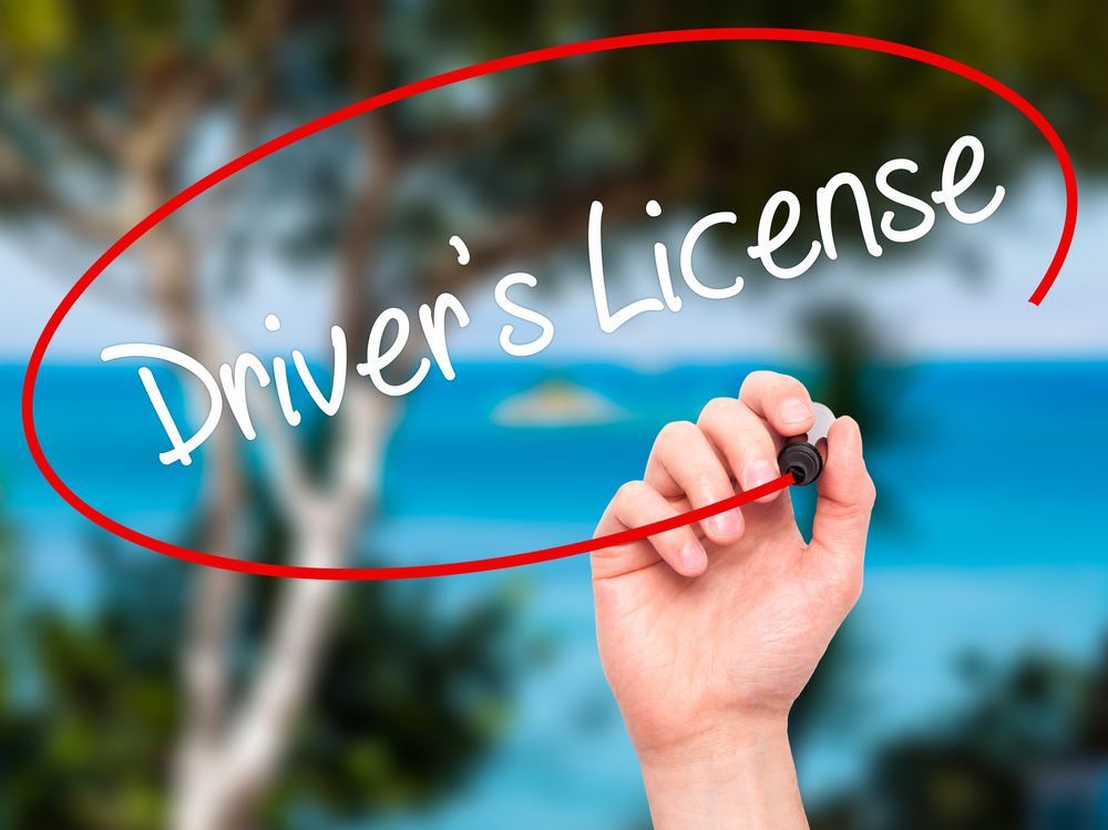 driver's license