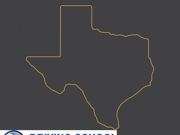 DSNT – Texas Final Exam (30DExt) course image