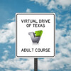 Virtual Drive of Texas Adult - Basic
