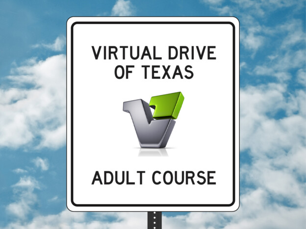 Virtual Drive Adult - 2024 Upgrade course image