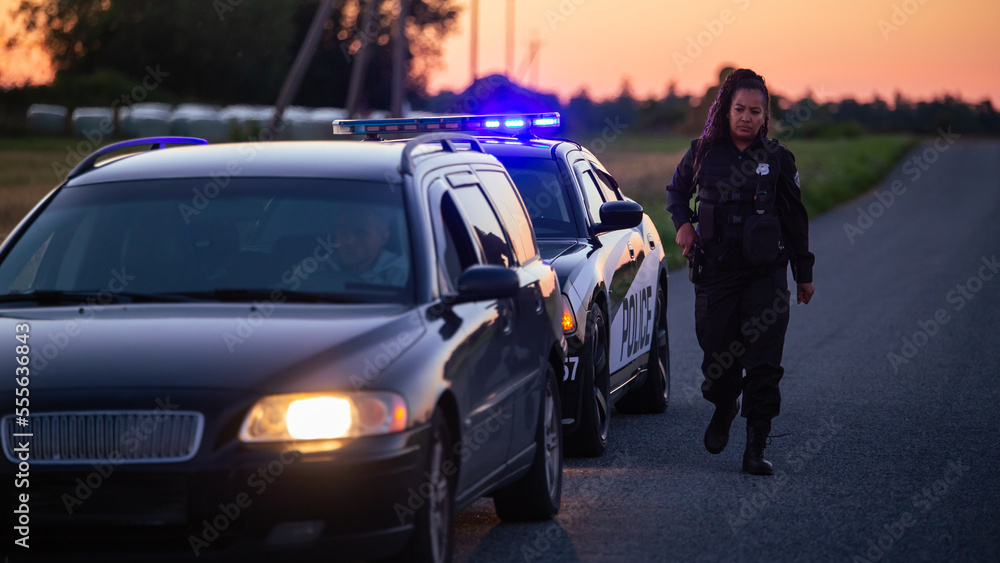 Police car stopping a vehicle for a traffic violation.